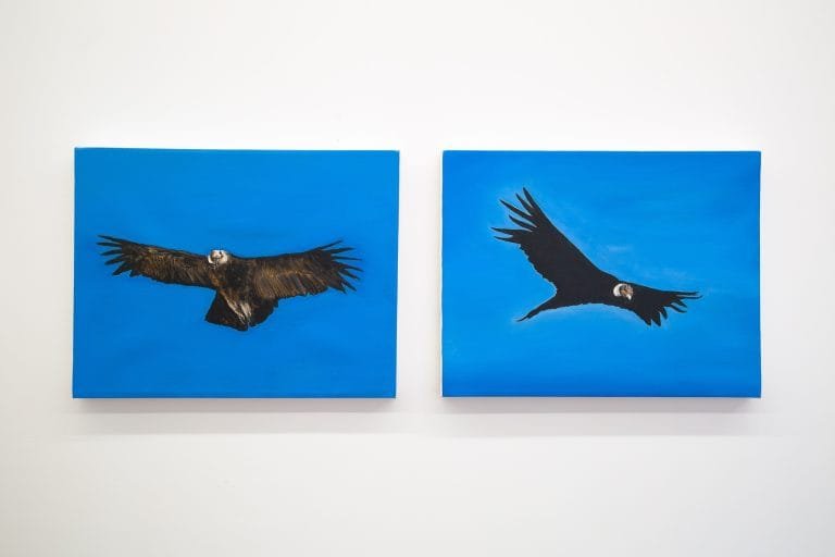 El Condor pesa. Karlo Andrei Ibarra. 2023. Vigil Gonzales Gallery.