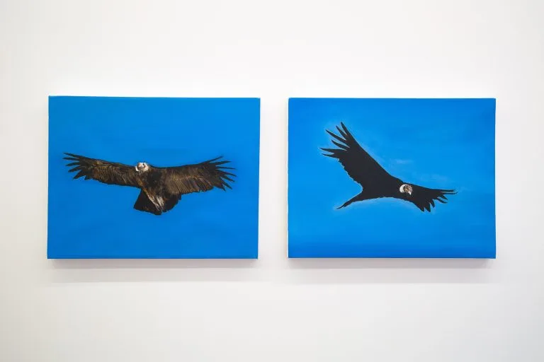 El Condor pesa. Karlo Andrei Ibarra. 2023. Vigil Gonzales Gallery.