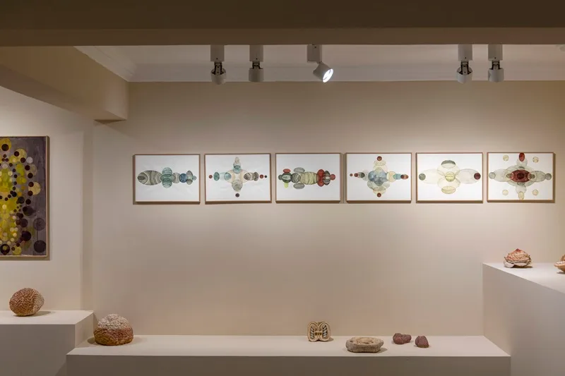 Para habitar el caos sensible. Paula Subercaseaux en Galería Madre. Chile 2024